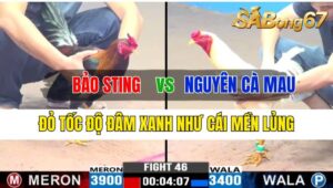 Trận 46 CPC3 06/10/2024 Anh Bảo Sting Đá Xổ Anh Nguyên Cà Mau