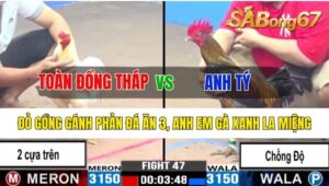 Trận 47 CPC3 26/10/2024 Anh Toàn Đồng Tháp Đá Xổ Anh Tý