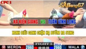 Trận 5 CPC1 26/10/2024 Anh Xa Kiên Giang Đá Xổ Anh Tuấn Vĩnh Long