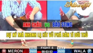 Trận 5 CPC2 04/10/2024: Anh Châu Đá Xổ Anh Bảo Sting