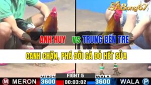 Trận 5 CPC3 03/10/2024: Anh Huy Đá Xổ Anh Trung Bến Tre