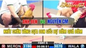 Trận 5 CPC3 06/10/2024 Anh Đen Đá Xổ Anh Nguyên CM