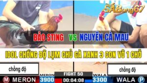 Trận 50 CPC3 06/10/2024 Anh Bảo Sting Đá Xổ Anh Nguyên Cà Mau