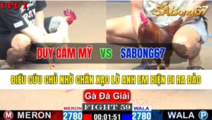 Trận 59 CPC1 28/10/2024 Anh Duy Cẩm Mỹ Đá Xổ Sabong67