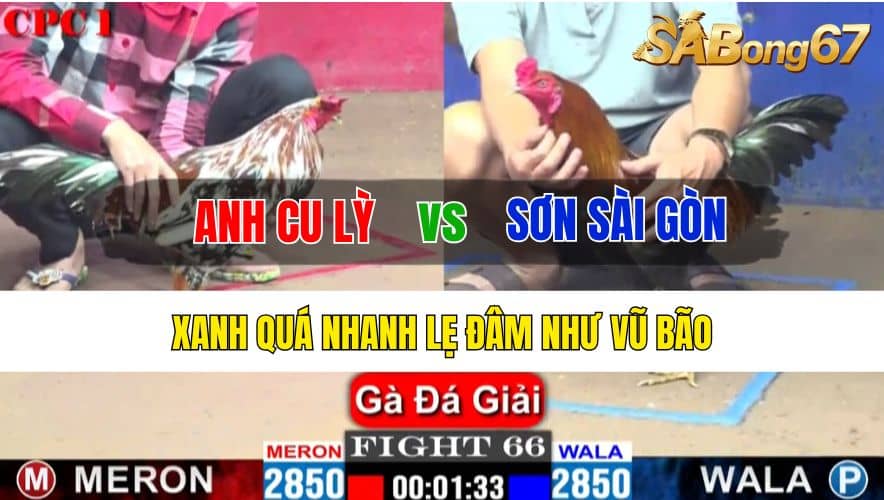 Trận 66 CPC1 28/10/2024 Anh Cu Lỳ Đá Xổ Anh Sơn Sài Gòn