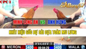 Trận 7 CPC1 08/10/2024 Anh Minh Long An Đá Xổ Anh Hưng