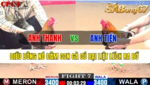 Trận 7 CPC1 22/10/2024 Anh Thanh Đá Xổ Anh Tiền