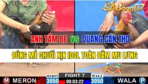 Trận 7 CPC2 04/10/2024: Anh Tâm Be Đá Xổ Anh Quang Cần Thơ