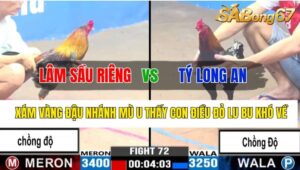 Trận 72 CPC3 29/10/2024 Anh Lâm Sầu Riêng Đá Xổ Anh Tý Long An