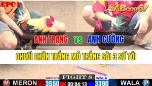 Trận 8 CPC1 01/10/2024 Anh Trạng Đá Xổ Anh Cường