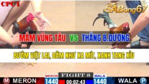 Trận 8 CPC3 21/10/2024 Anh Mắm Vũng Tàu Đá Xổ Anh Thắng Bình Dương