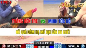 Trận 8 CPC1 26/10/2024 Anh Thắng Bến Tre Đá Xổ Anh Minh Tốc Độ