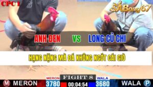 Trận 8 CPC1 31/10/2024 Anh Đen Đá Xổ Anh Long Củ Chi