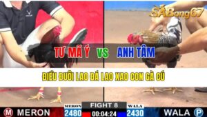 Trận 8 CPC2 16/10/2024 Anh Tư Mã Ý Đá Xổ Anh Tâm