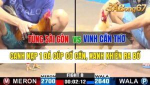 Trận 8 CPC3 01/10/2024 Anh Tùng Sài Gòn Đá Xổ Anh Vinh Cần Thơ