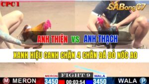 Trận 9 CPC1 03/10/2024: Anh Thiện Đá Xổ Anh Thạch