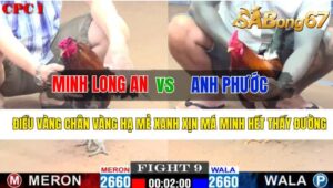 Trận 9 CPC1 21/10/2024 Anh Minh Long An Đá Xổ Anh Phước