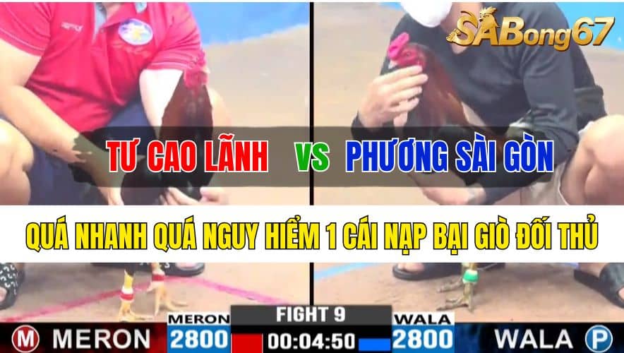 Trận 9 CPC3 29/10/2024 Anh Tư Cao Lãnh Đá Xổ Anh Phương Sài Gòn