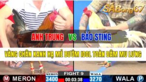 Trận 9 CPC2 23/10/2024 Anh Trung Đá Xổ Anh Bảo Sting