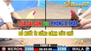 Trận 9 CPC3 04/10/2024: Anh Lúa Sài Gòn Đá Xổ Anh Bảo Sting