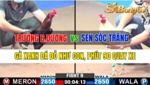 Trận 9 CPC3 06/10/2024 Anh Trường Bình Dương Đá Xổ Anh Sen Sóc Trăng