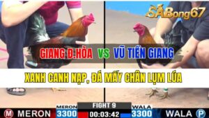 Trận 9 CPC3 07/10/2024 Anh Giang Đức Hòa Đá Xổ Anh Vũ Tiền Giang