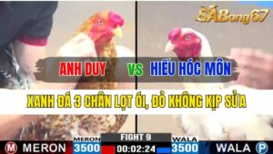 Trận 9 CPC3 12/10/2024 Anh Duy Đá Xổ Anh Hiếu Hóc Môn