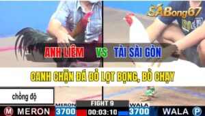 Trận 9 CPC3 13/10/2024 Anh Liêm Đá Xổ Anh Tài Sài Gòn