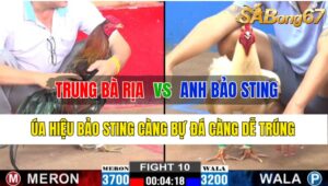 Trận 10 CPC2 01/11/2024 Anh Trung Bà Rịa Đá Xổ Anh Bảo Sting