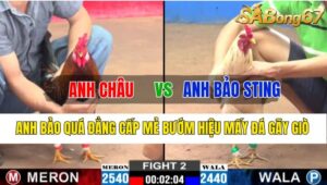 Trận 2 CPC2 01/11/2024 Anh Châu Đá Xổ Anh Bảo Sting