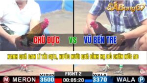 Trận 2 CPC3 02/11/2024 Chú Đực Đá Xổ Anh Vũ Bến Tre