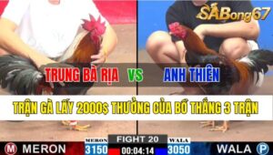 Trận 20 CPC2 01/11/2024 Anh Trung Bà Rịa Đá Xổ Anh Thiên