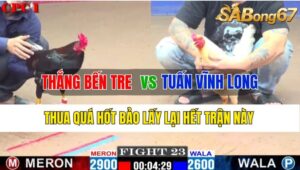 Trận 23 CPC1 02/11/2024 Anh Thắng Bến Tre Đá Xổ Anh Tuấn Vĩnh Long