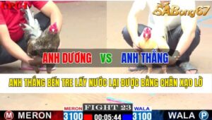 Trận 23 CPC1 05/11/2024 Anh Dương Đá Xổ Anh Thắng