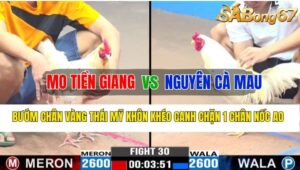 Trận 30 CPC1 05/11/2024 Anh Mo Tiền Giang Đá Xổ Anh Nguyên Cà Mau