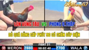 Trận 31 CPC3 01/11/2024 Anh Lùn Vũng Tàu Đá Xổ Anh Phong Đồng Tháp