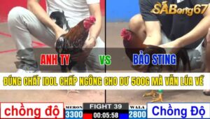 TRẬN 39 CPC2 24/11/2024: ANH TY LONG AN VS ANH BẢO STING