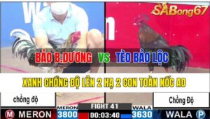 Trận 41 CPC3 02/11/2024 Anh Bảo Bình Dương Đá Xổ Anh Tèo Bảo Lộc