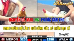 Trận 46 CPC3 05/11/2024 Anh Nguyên Cà Mau Đá Xổ Anh Phước Cần Thơ