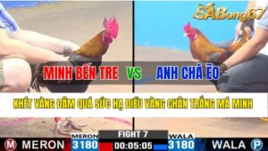 Trận 7 CPC3 01/11/2024 Anh Minh Bến Tre Đá Xổ Anh Chà Ẽo