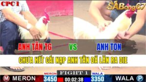 TRẬN 1 CPC1 18/11/2024 : ANH TÂN TIỀN GIANG VS ANH TON