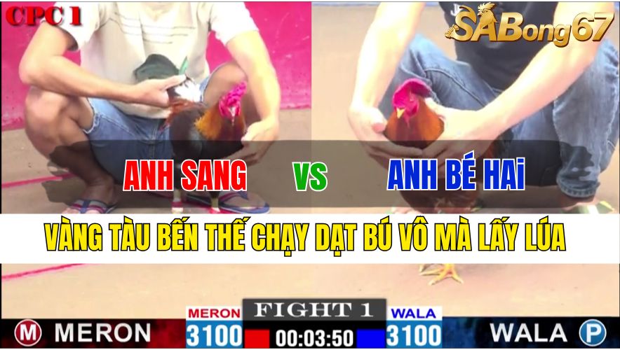 TRẬN 1 CPC1 21/11/2024 : ANH SANG VS ANH BÉ HAI