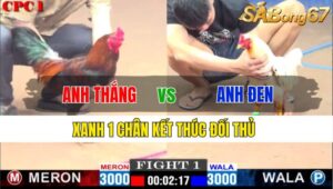 TRẬN 1 CPC1 23/11/2024: ANH THẮNG BTRE VS ANH ĐEN