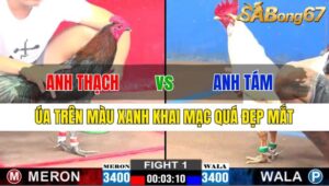 TRẬN 1 CPC1 27/11/2024 : ANH THẠCH VS ANH TÁM