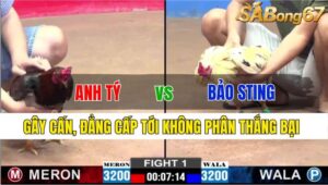 TRẬN 1 CPC2 22/11/2024: ANH TÝ SG VS ANH BẢO STING