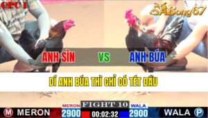 TRẬN 10 CPC1 05/11/2024 : ANH SÌN VS ANH BÚA