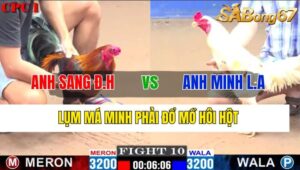 TRẬN 10 CPC1 07/11/2024 : ANH SANG ĐỨC HÒA VS ANH MINH LONG AN