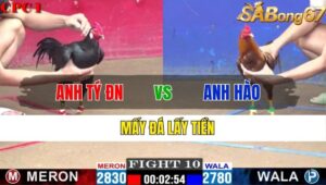 TRẬN 10 CPC1 14/11/2024 : ANH TÝ ĐỒNG NAI VS ANH HÀO