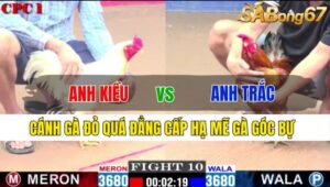 TRẬN 10 CPC1 23/11/2024: ANH KIỀU VS ANH TRẮC