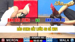 TRẬN 10 CPC2 06/11/2024 : ANH BẢO STING VS ANH LONG 4G